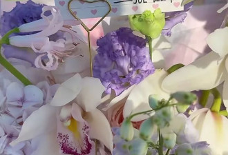 乔任梁去世九周年,父母前往墓园扫墓,陈乔恩的花束格外醒目