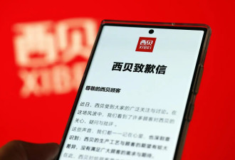 复盘西贝惊魂120小时，危机公关为何一再失效？