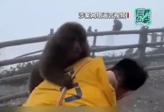 峨眉山爆发“人猴大战” 猴王逼女游客坠崖后被击毙？