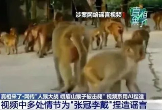 峨眉山爆发“人猴大战” 猴王逼女游客坠崖后被击毙？