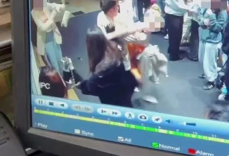 中国女网红澳洲餐厅遭暴力殴打，华人热议
