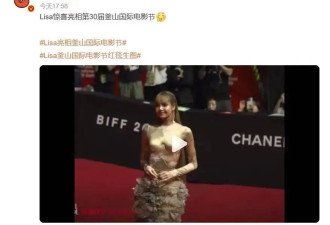 顶级女团爱豆一袭繁花透视长裙，亮相第30届釜山国际电影节