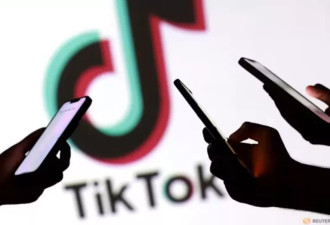 消息人士：美国投资者财团 将掌握TikTok运营大权