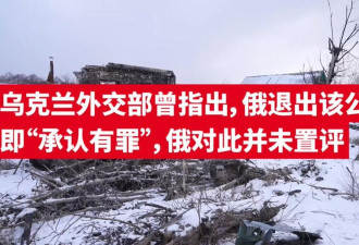 俄国家杜马全票通过退出"欧洲禁止酷刑公约"
