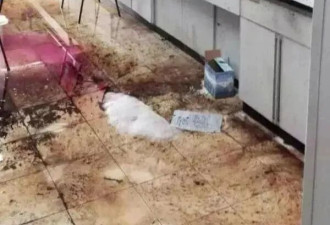 研究生因接触有毒试剂患癌，将美国母校告上法庭
