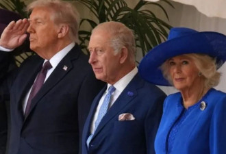 凯特封神，梅拉尼娅像香蕉？英国宴变穿搭大戏