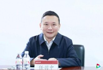 北京大学一颗冉冉上升的新星 正在接受调查