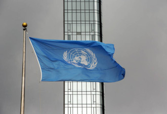 美国否决联合国安理会1决议