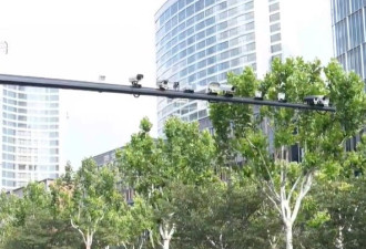 上海人深恶痛绝 警方已经严查