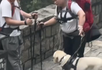 “盲人夫妻爬泰山”惹众怒
