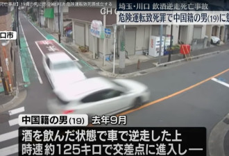 19岁中国男子日本醉驾超速逆线撞死人 被判监9年