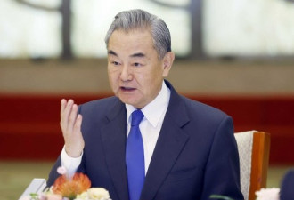 王毅：中国外交进入可更有作为的新历史阶段