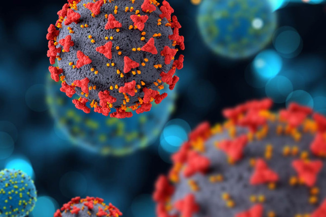 Eight things you need to know about the new “Nimbus” and “Stratus” COVID-19 variants