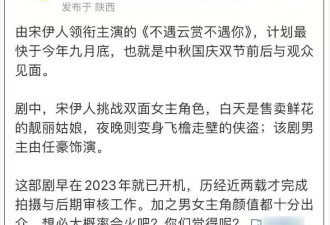 宋伊人新片遭抵制！长相平平却资源逆天