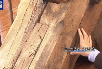 浴火重生：巴黎圣母院塔楼重开，缮后细节抢先看
