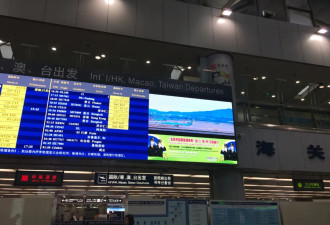 我为什么选择中年出国