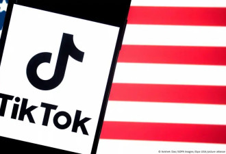 白宫：TikTok董事会与算法由美国控制