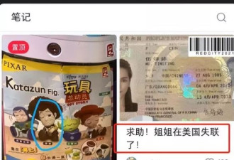 亲姐在美国失踪全网寻人 结果是经营色情行业被抓 ...