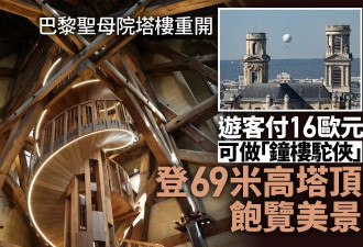 巴黎圣母院重开：门票16欧 攀塔顶赏巴黎壮丽景色