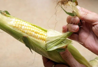 玉米不能随便吃？医生提醒：这3类人最好不吃