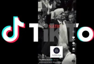 沈逸独家解读：关于TikTok方案，几个关键信息