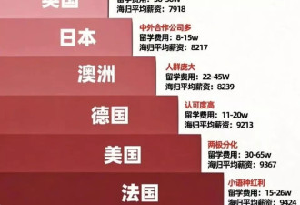 中产养娃销金窟，又涨价了