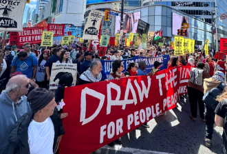 加拿大爆发"全国抗议"! 多伦多数千人涌上街头, 反对卡尼5大新政