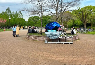 赴日旅行日记（十八）蓝色粉蝶