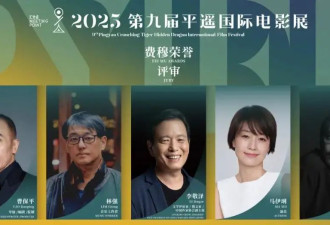 娇嫩的杨幂、干练的秦海璐、优雅的叶童——平遥国际电影展星光回顾