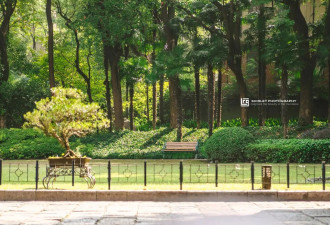 上海闹市的秘密花园,曾是李鸿章在沪藏娇的"金屋"