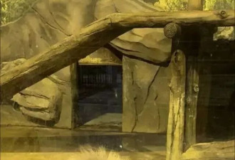 沈阳商场室内动物园被指动物生存条件不佳，多数动物呆滞