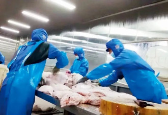 风波仍未结束，预制菜到底是不是“垃圾”？