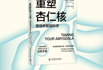 有点事儿就吃不下睡不着，大脑杏仁核过于活跃了