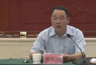 县长不顾反对意见推动“灯光秀”项目，造成重大损失