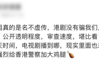 港剧照进现实:西九龙重案组在香港究竟啥地位?