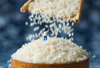 那些不吃主食的人，后来怎么样了？
