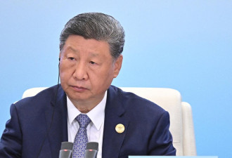 习近平承诺2035年前减排7至10% 强调坚持绿色转型