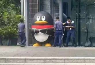 “这下真的拴Q了！” 广东网友开启梗图抗风模式