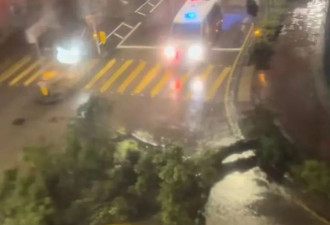 香港市民讲述台风桦加沙袭港：大楼晃了五个小时