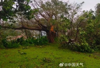 台风桦加沙对广东阳江造成严重影响：海水倒灌...