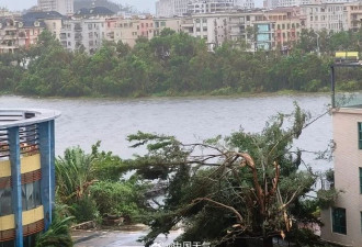 台风桦加沙对广东阳江造成严重影响：海水倒灌...