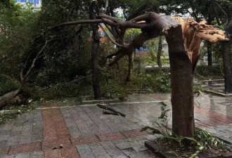 台风桦加沙对广东阳江造成严重影响：海水倒灌...