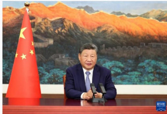 欧盟批习发言“令人失望”