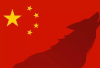 经济学人“战狼指数”：中国外交官为何减少咆哮?