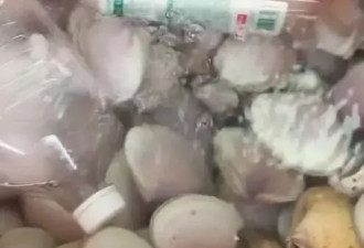 广东多地台风后现大量生蚝！专家紧急提醒