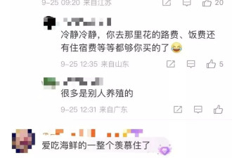 广东多地台风后现大量生蚝！专家紧急提醒