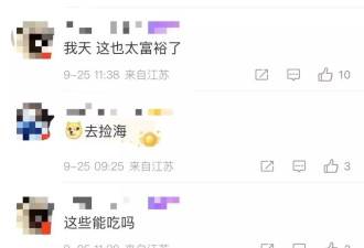 广东多地台风后现大量生蚝！专家紧急提醒