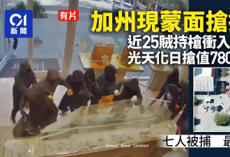 加州惊现“蒙面抢掠团”25贼光天化日洗劫珠宝店