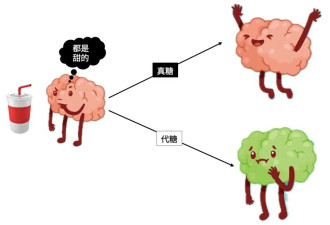 无糖甜饮料真的也别天天喝