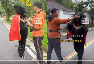 黑熊身披袈裟 直立走路 震惊网民
